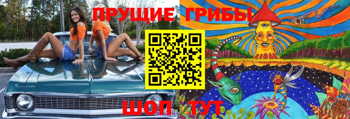 Галлюциногенные грибы мухоморы Десногорск