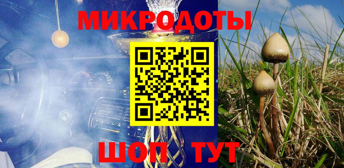 продажа наркотиков  Псилоцибиновые грибы прущие грибы  Вход с VPN  Десногорск 